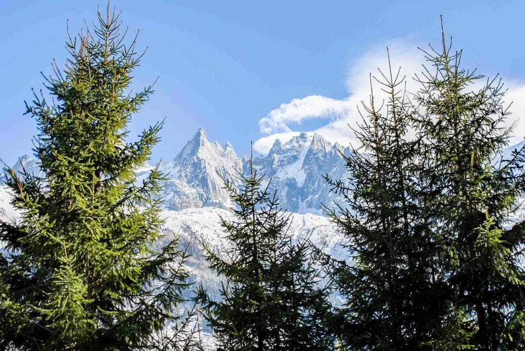 Chalet La Source - Chamonix All Year מראה חיצוני תמונה